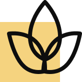 Mahremiyet ve Konfor